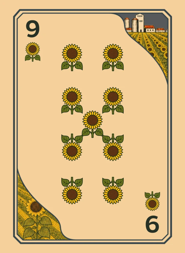 Sunflower 9