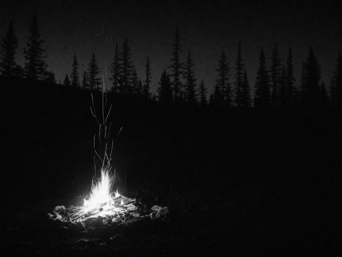 A night photograph lit only by a small campfire, sparks rising, the dark edge of a larch forest beyond. No one is in the frame.
